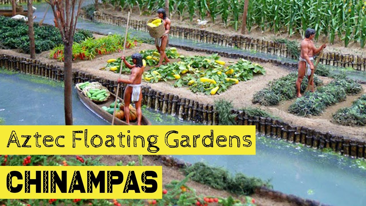 Ancient Aztec floating gardens that fed 200 000 destroyed by Spanish in 1519 called Chinampas