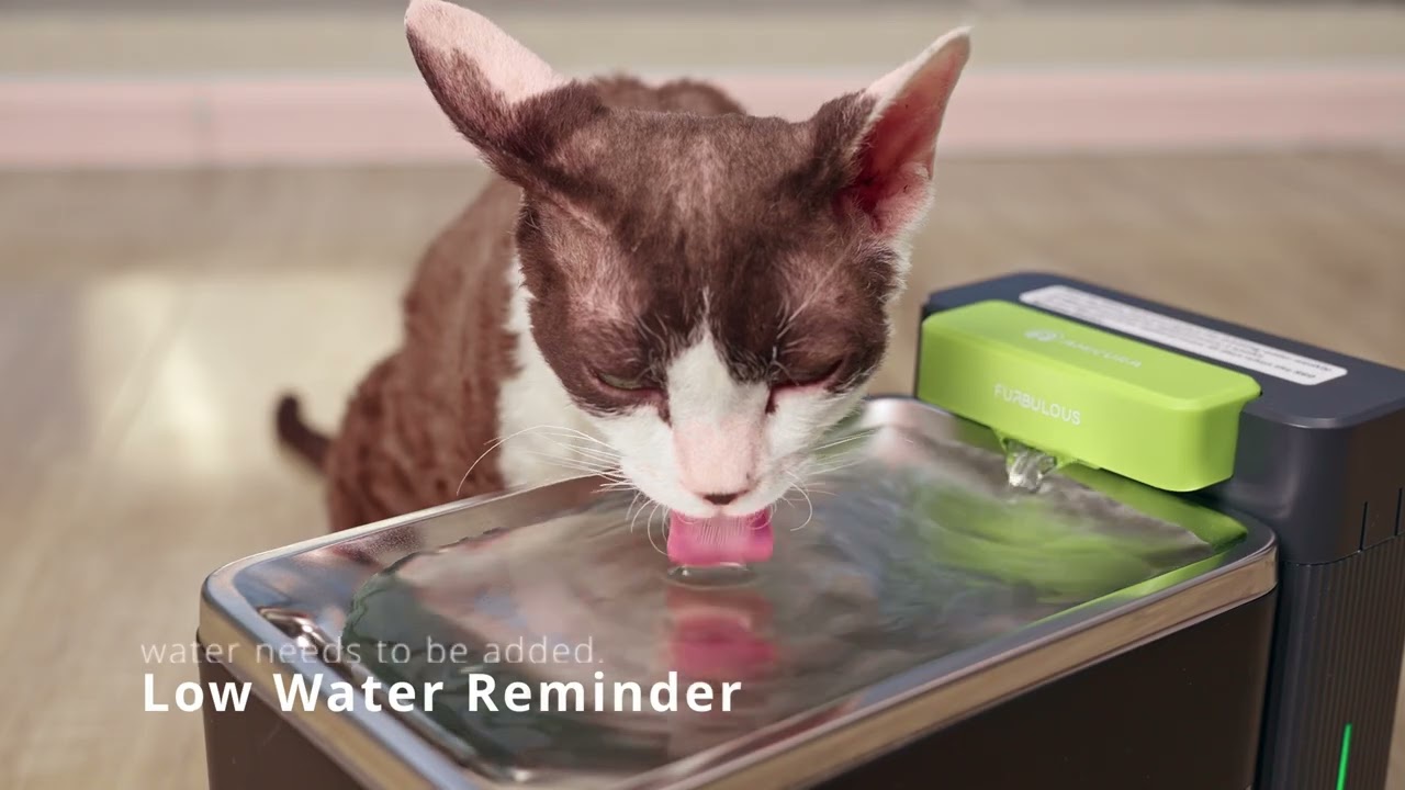 Amicura A3 Lite | Ultra-Filtered Cat Water Fountain💧