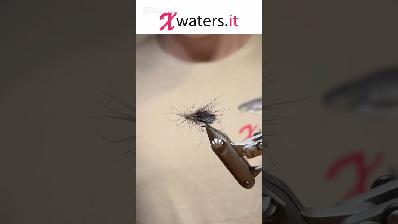 Sedge 🎣🪰#sedgefield #flyfishing #flytying #dryfly #pesca #pescaamosca #mosca
