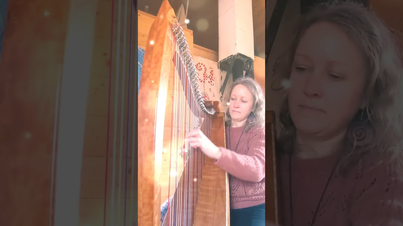 100 Days of Sensitives Harp | d'après Stork' first flight/Himanthalia/A.  Colin