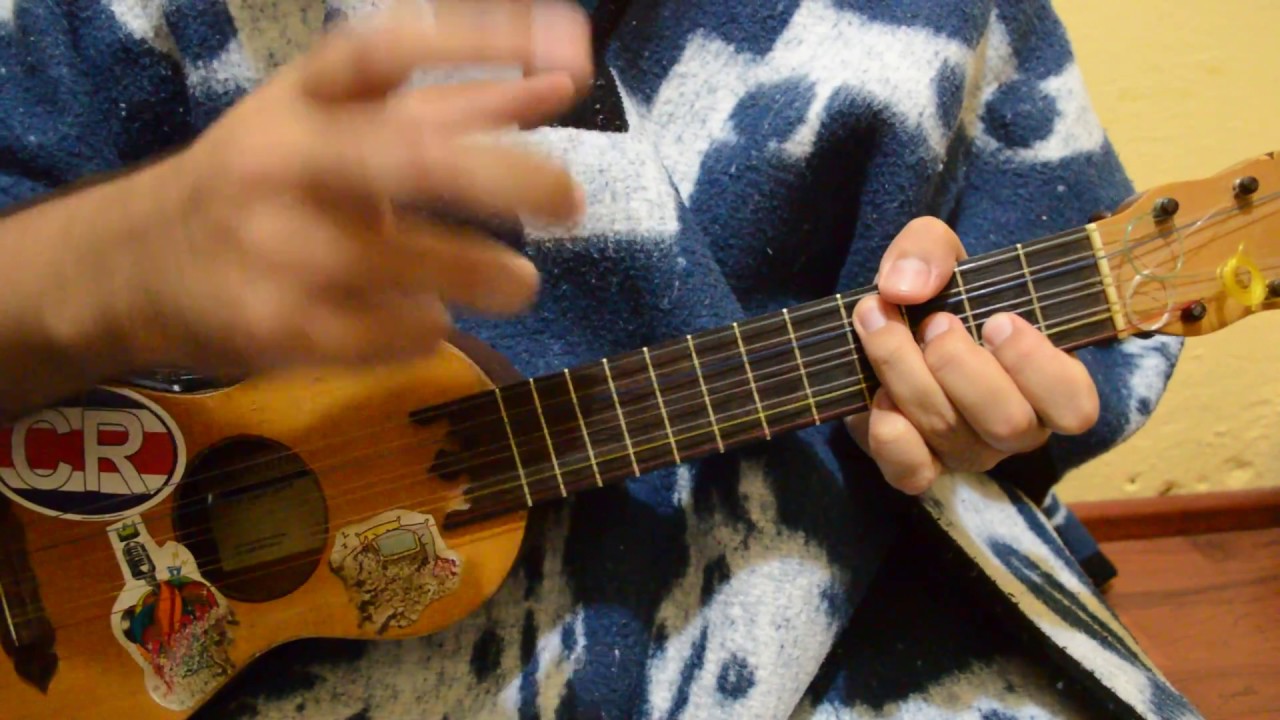 Sembrando Flores - Los Cojolites (Turorial en Jarana)
