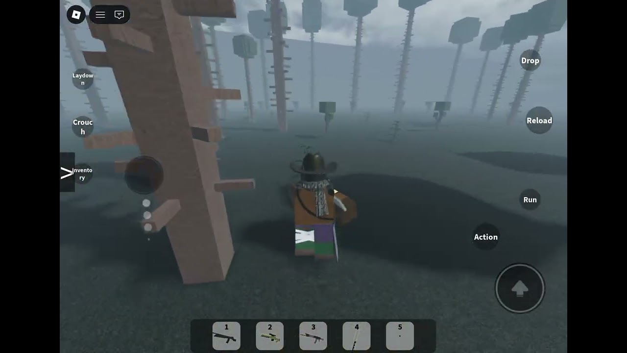 How to find Eva’s shop in foresto hunting game 