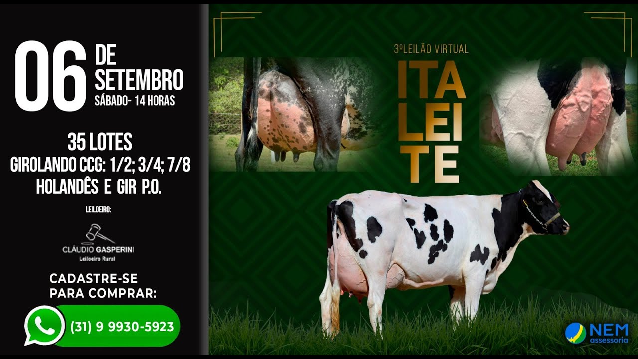 ✅ 3º LEILÃO VIRTUAL ITALEITE - 06/09/2025 ⏰ 15:00h