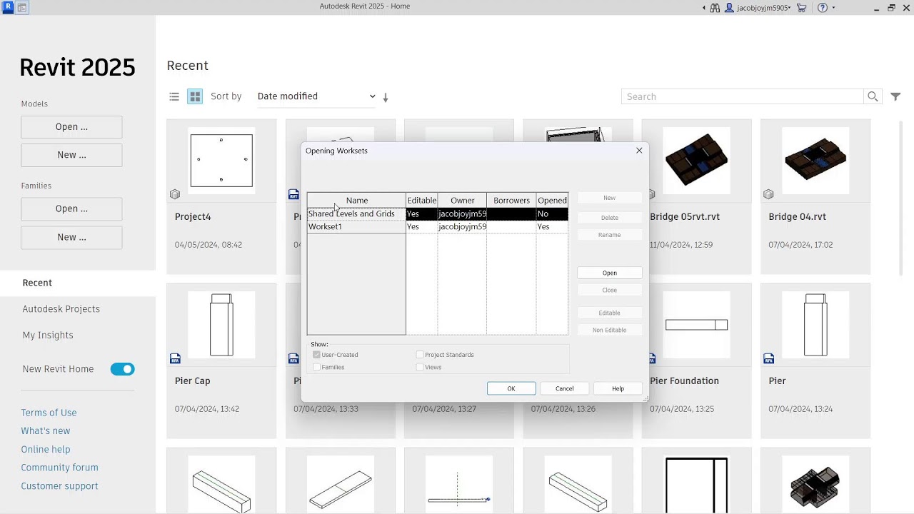 Как создать центральный файл в Revit 2025