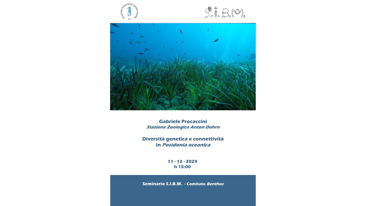 Diversità genetica e connettività in Posidonia oceanica