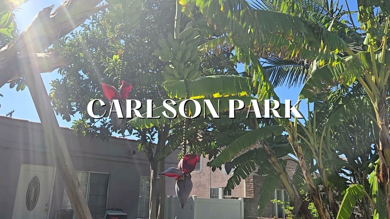 CARLSON PARK
