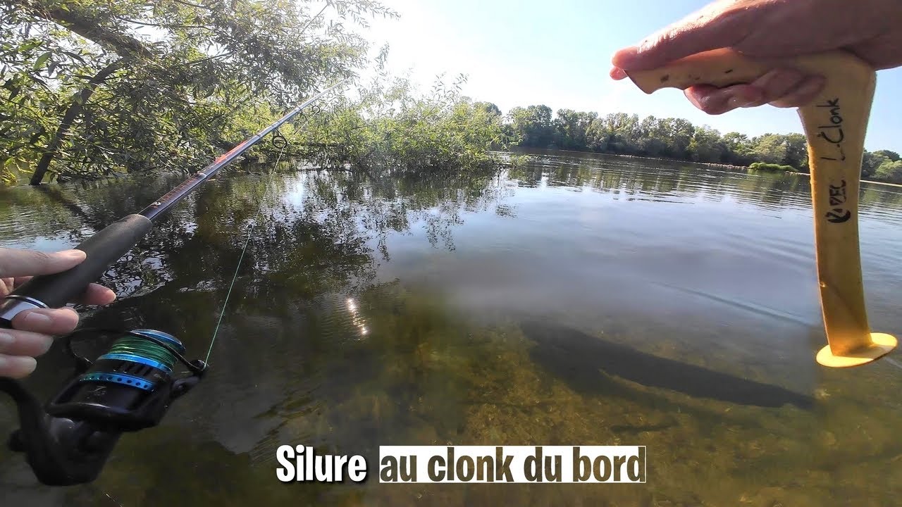 P&Ecirc;CHE SILURE 2m08 : Un ARBRE ? du SILURE !!!