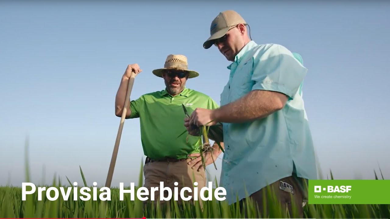 Benefits of the Provisia Rice Herbicide System