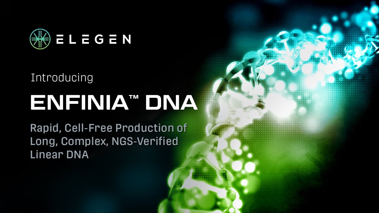 Introducing ENFINIA DNA