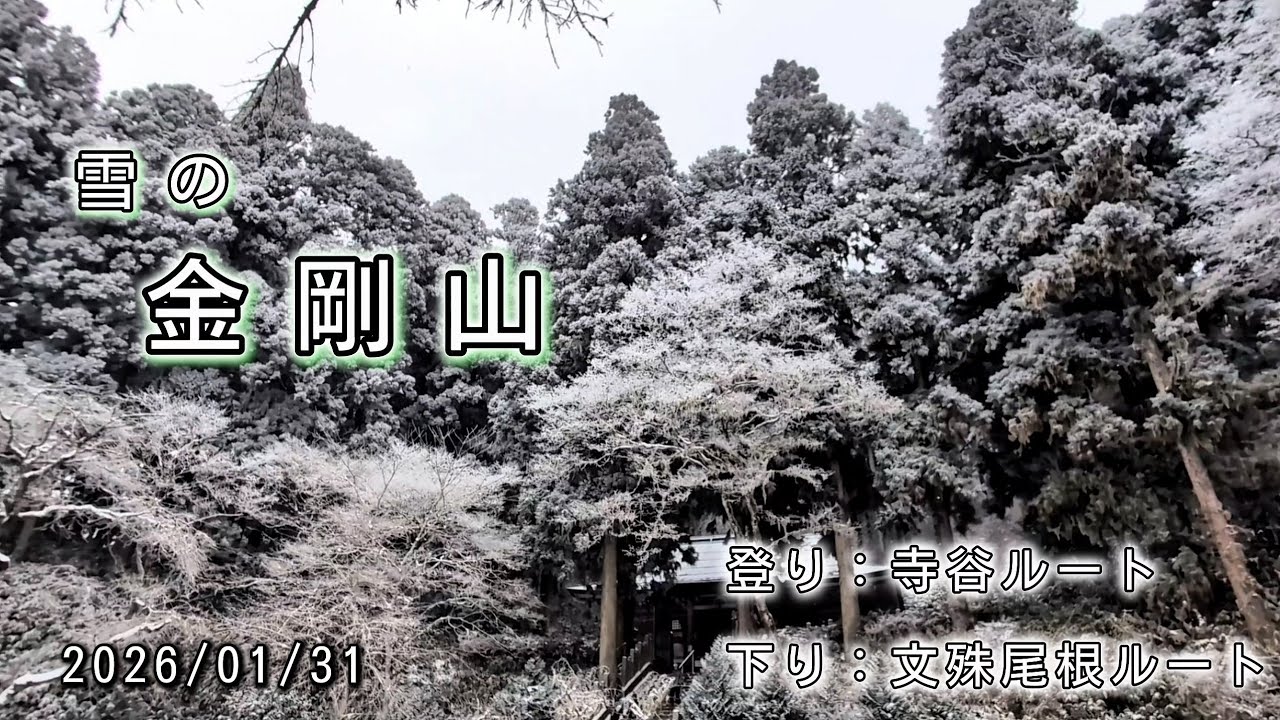 雪の金剛山 ☆ 寺谷の氷瀑と山頂広場のプチ雪像まつり ☆ 上り：寺谷 ／ 下り：文殊尾根