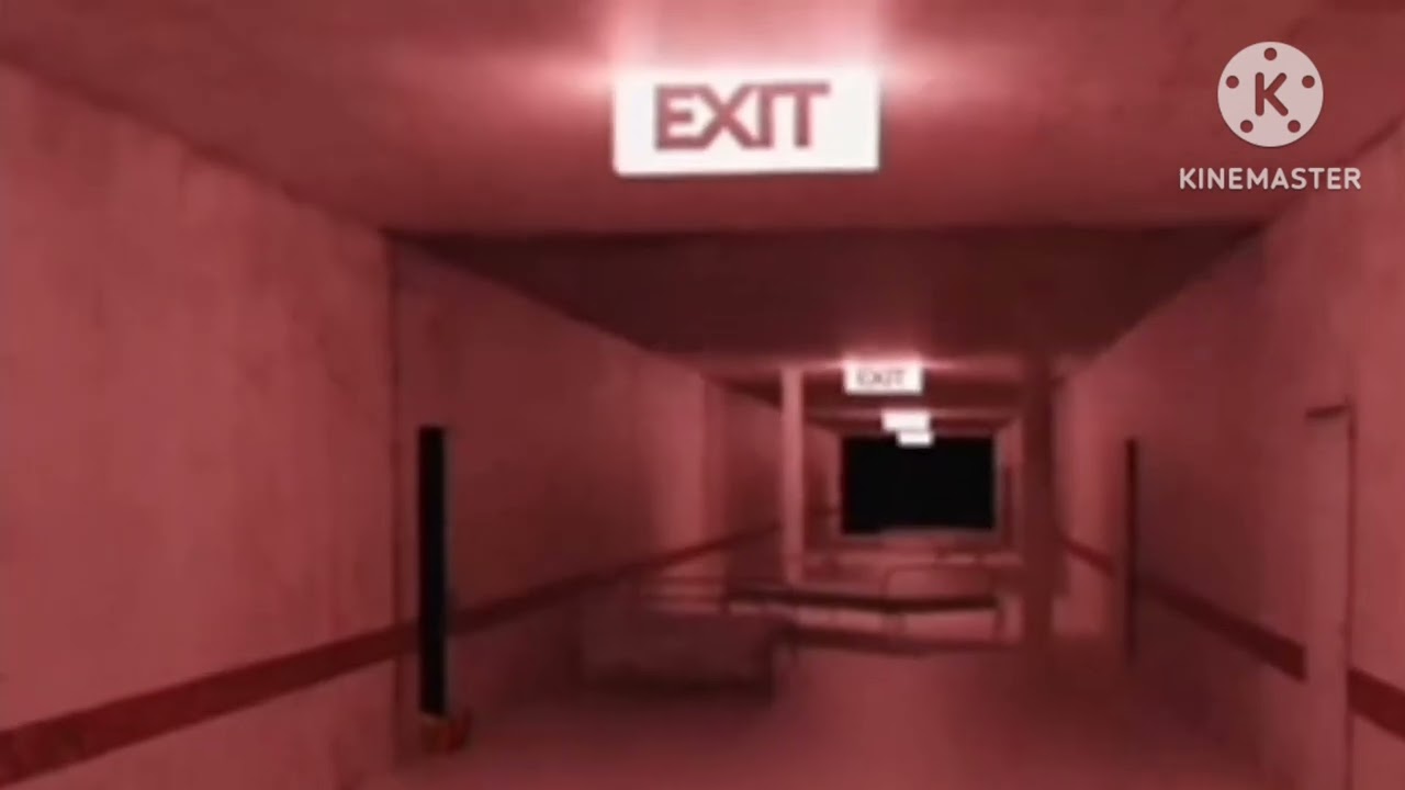 The Backrooms: RUN FOR YOUR LIFE SMILER (Reupload)