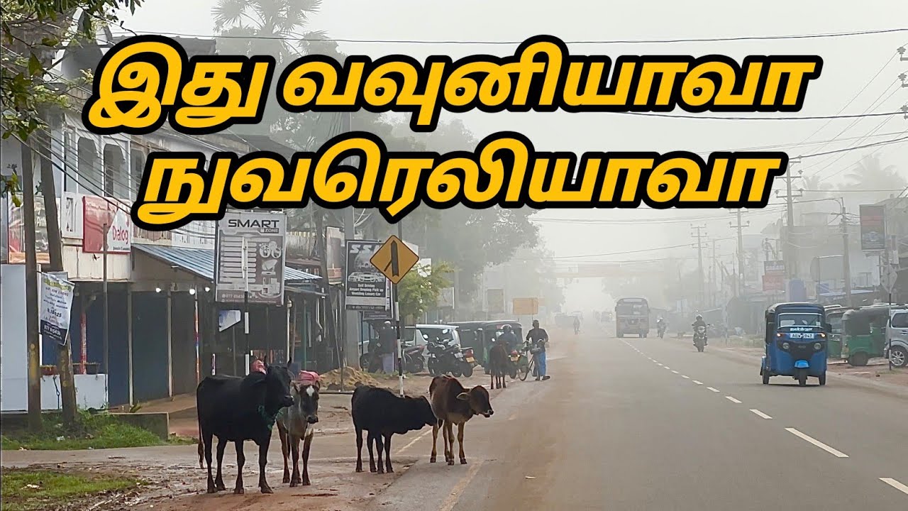 Nuwaraeliya போன்ற குளிர் பிரதேசமாக மாறிய Vavuniya 🥶 | Srilanka Weather 🇱🇰 | Tamilvlog 