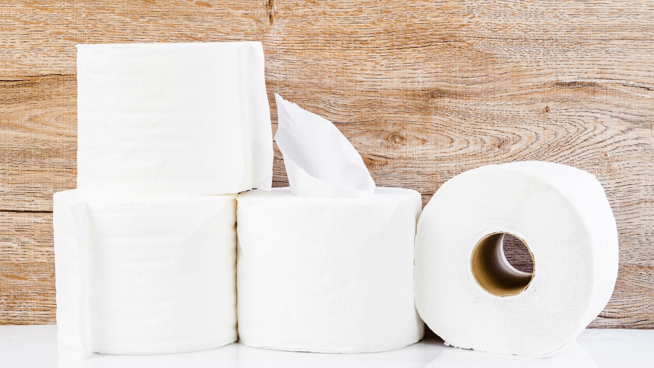 How TOILET PAPER is MADE (MILLIONS of ROLLS of TOILET PAPER) | Manufacturing toilet paper