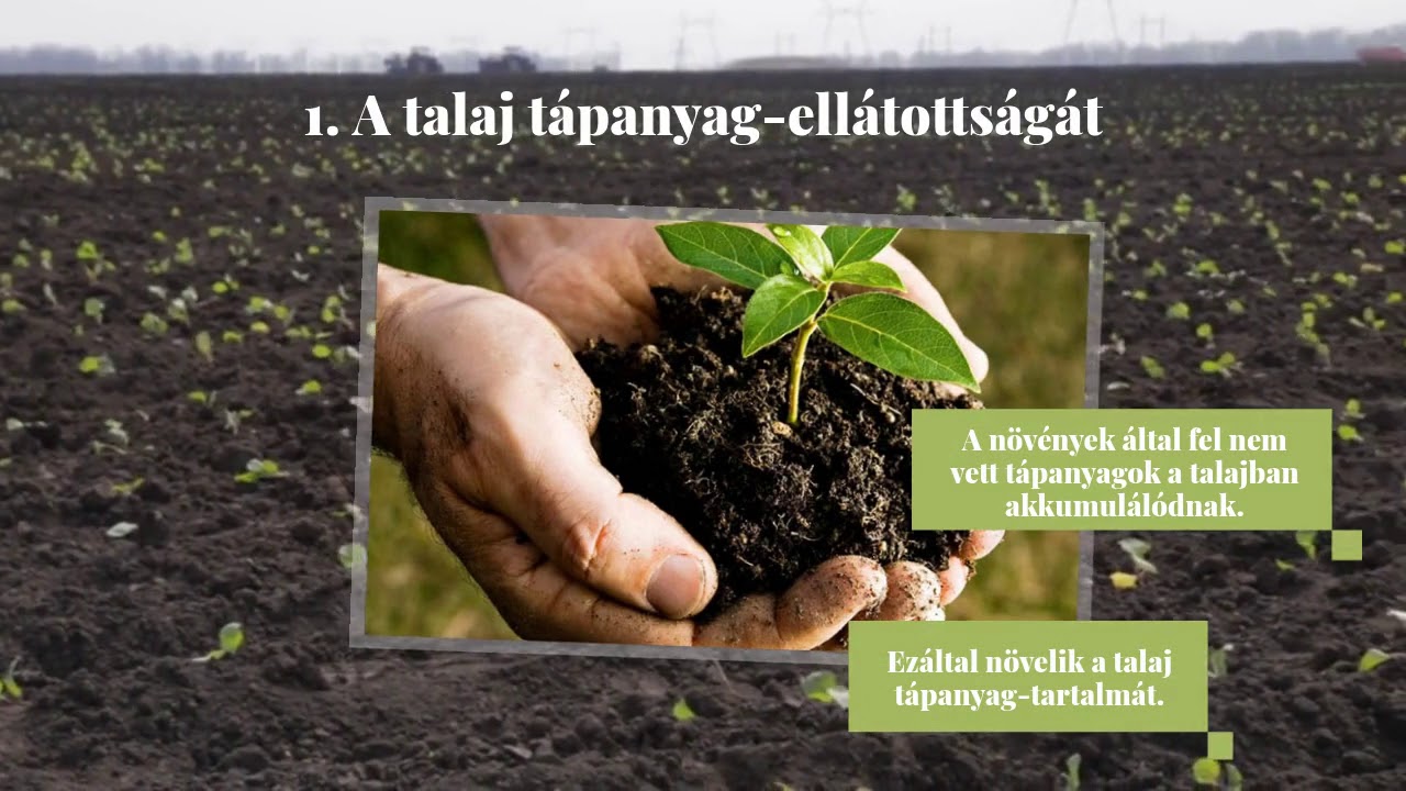 Tavaszi fejtr&aacute;gy&aacute;z&aacute;s: mennyi műtr&aacute;gy&aacute;t sz&oacute;rjunk ki?