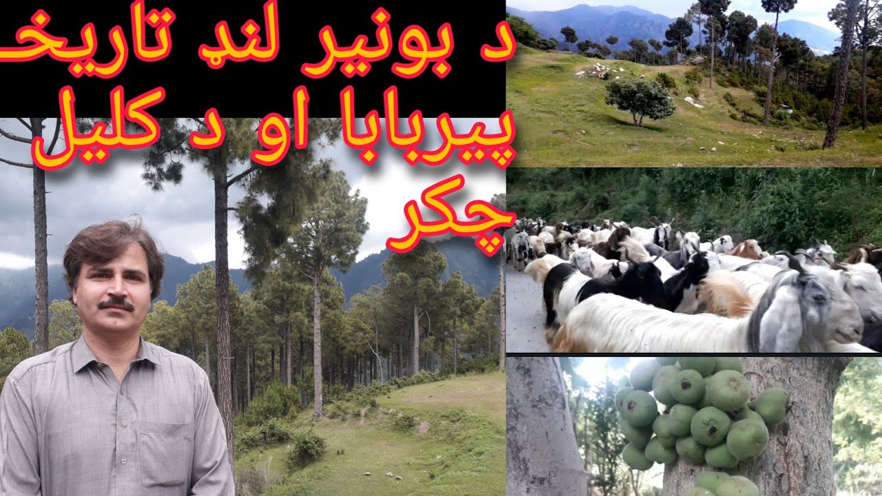Bunir History, Pir Baba, Kalil