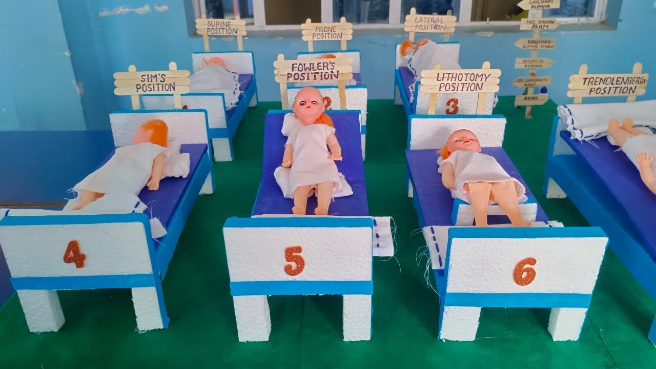Bed Position Model| Bed making model| Fundamental of nursing|Bed Procedure model