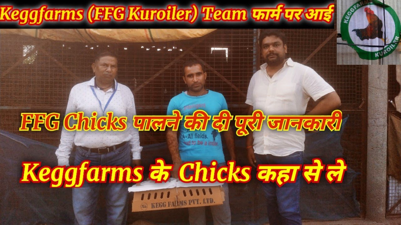 Keggfarms Team Visit our farm // Keggfarms FFG Chicks कहाँ से ले ,3 महीने मे 2.5 किलो का FFG