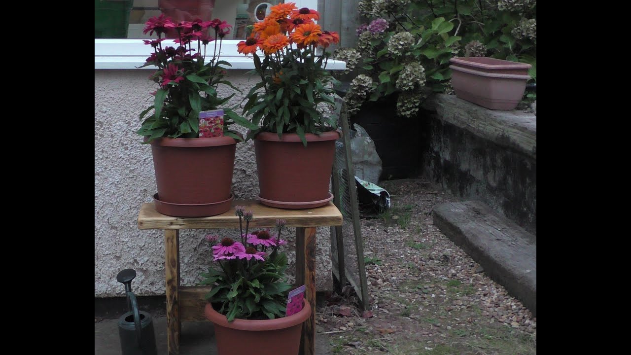 Cropping  & potting on