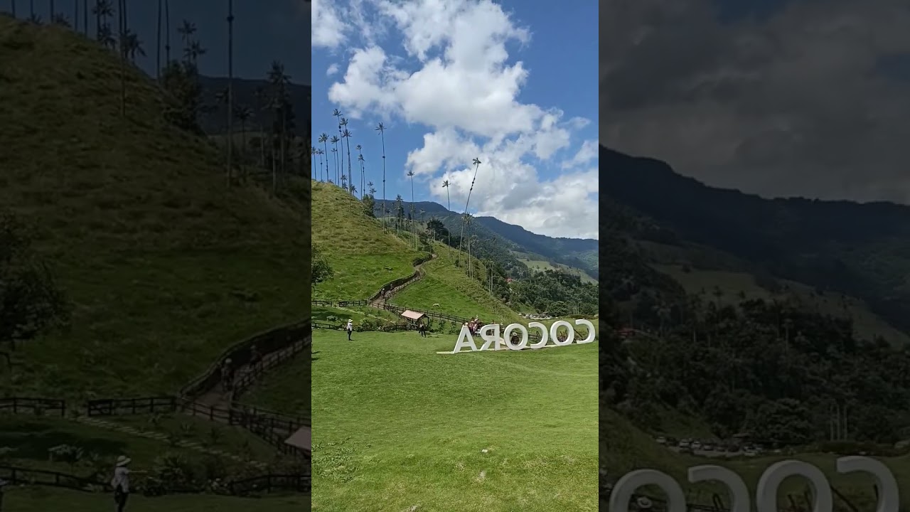 #cocoravalley