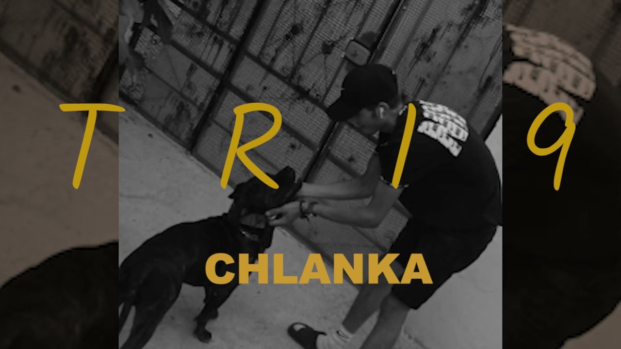 CHLANKA -TRI9 AUDIO
