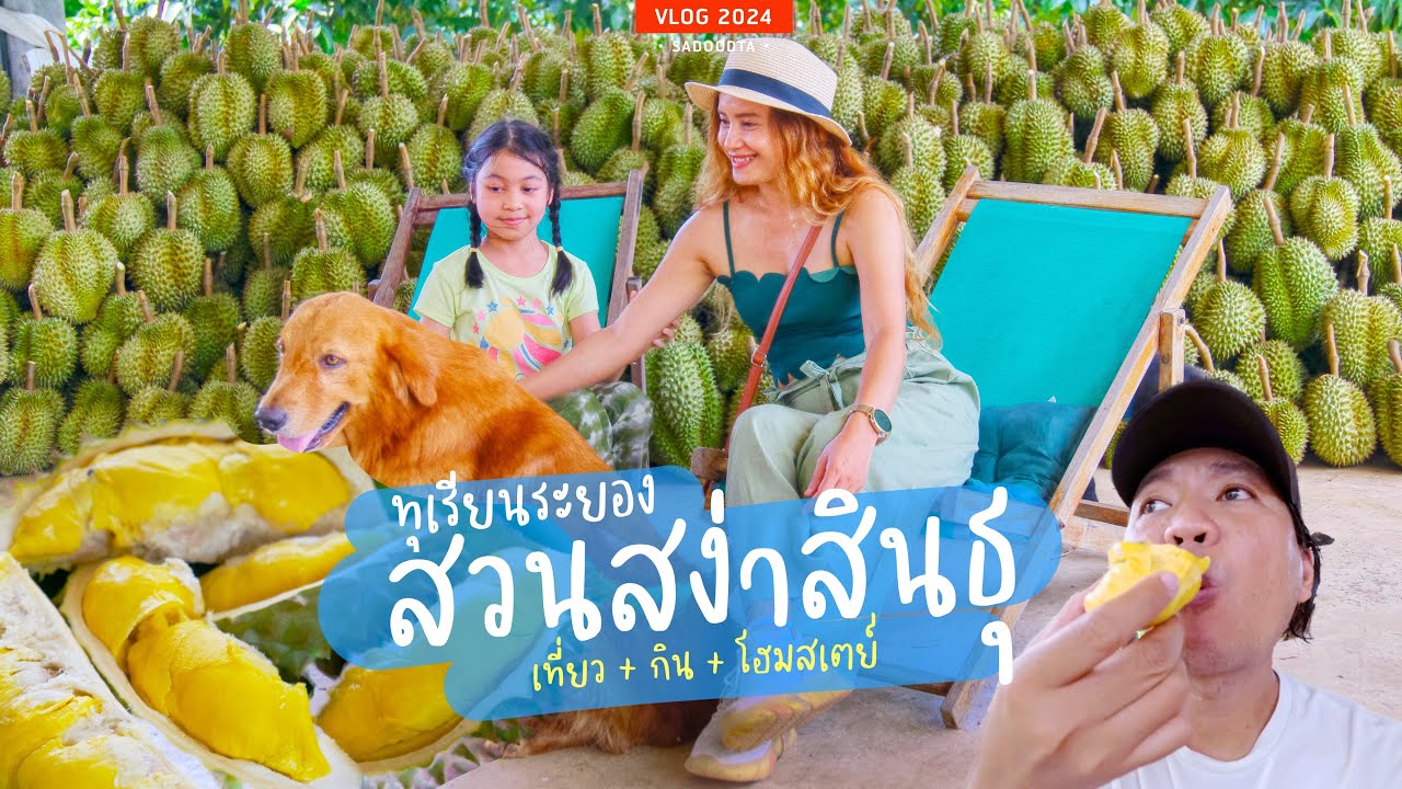 กินทุเรียนฟินๆ ในสวนทุเรียนระยอง มีโฮมสเตย์กลางสวนทุเรียน | รีวิวสวนสง่าสินธุ  | sadoodta