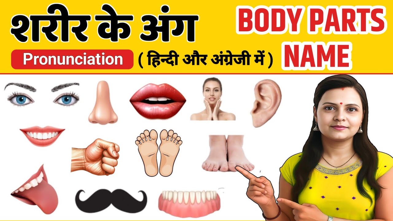 Human Body Parts Name Hindi & English with Pictures | शरीर के अंग | Name of Body Parts