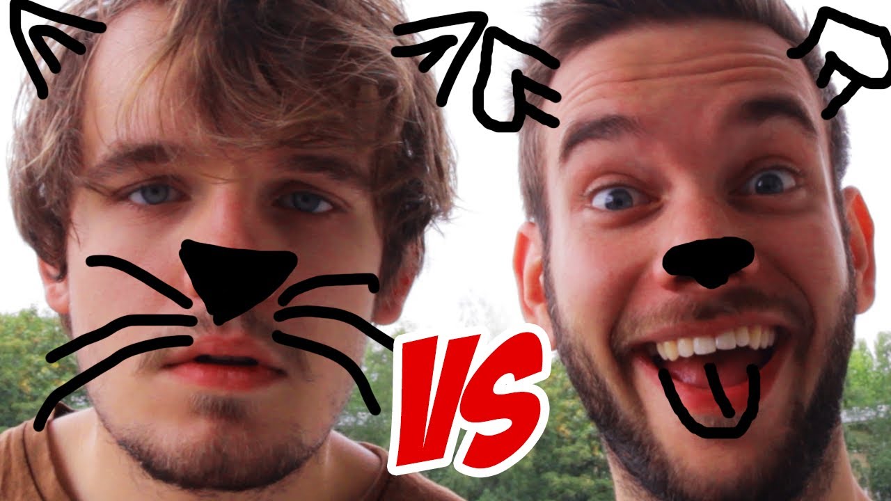 Hund VS Katze - Wenn Tiere Menschen wären