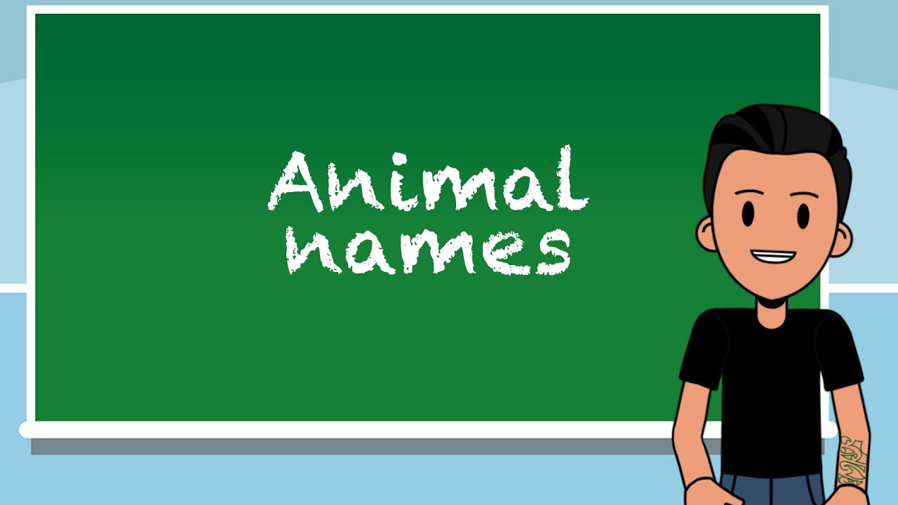 Learn Dutch - Animal Names - Lesson 14