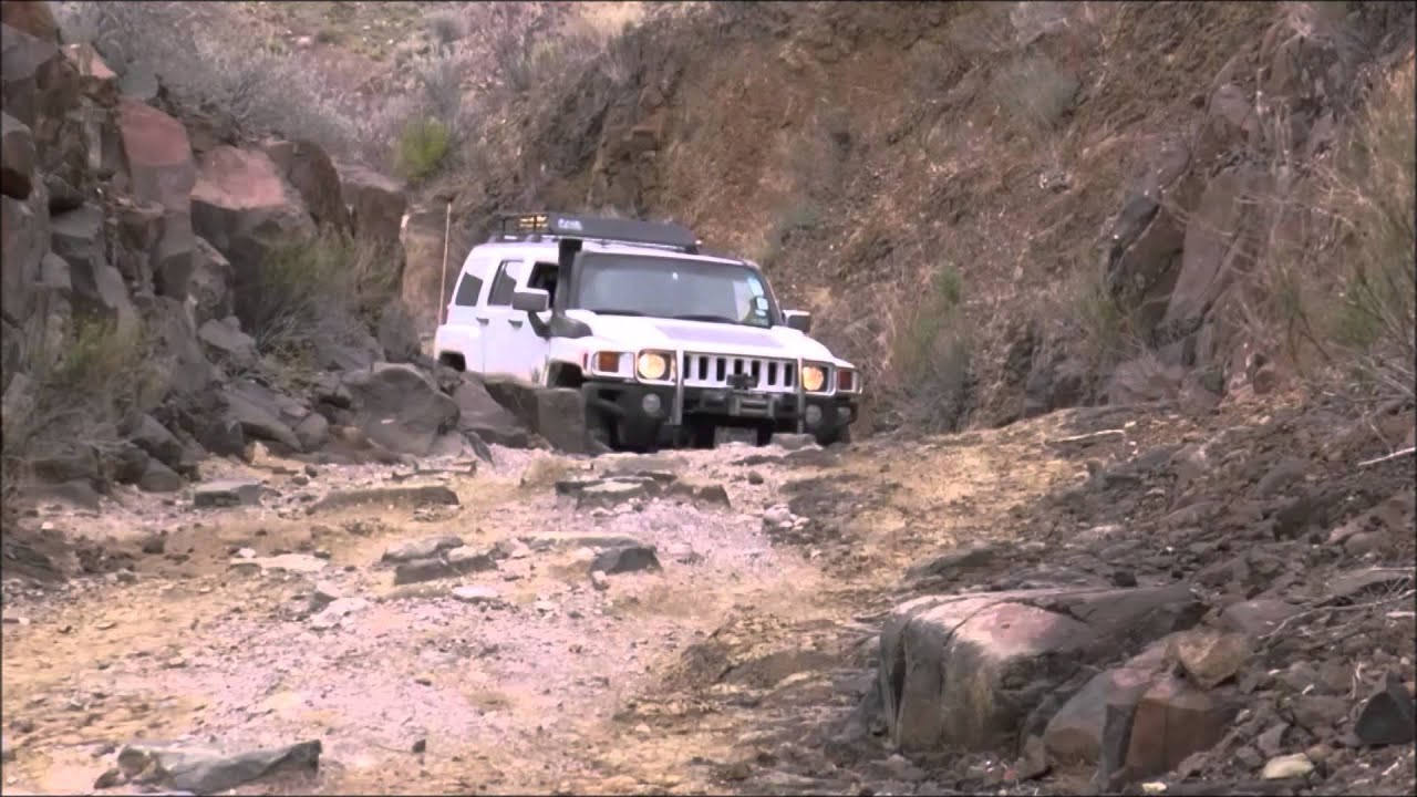 Texas Hummer X Club 2014-2015 
