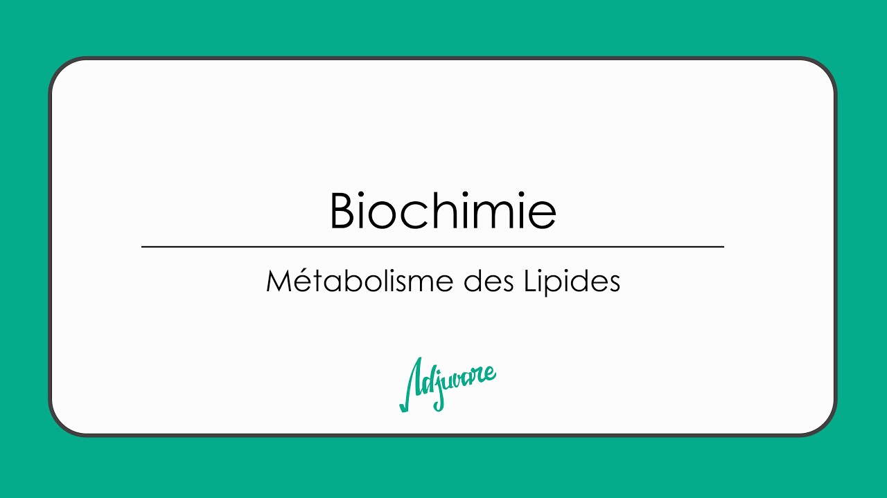 Tutorat biochimie : Métabolisme des lipides