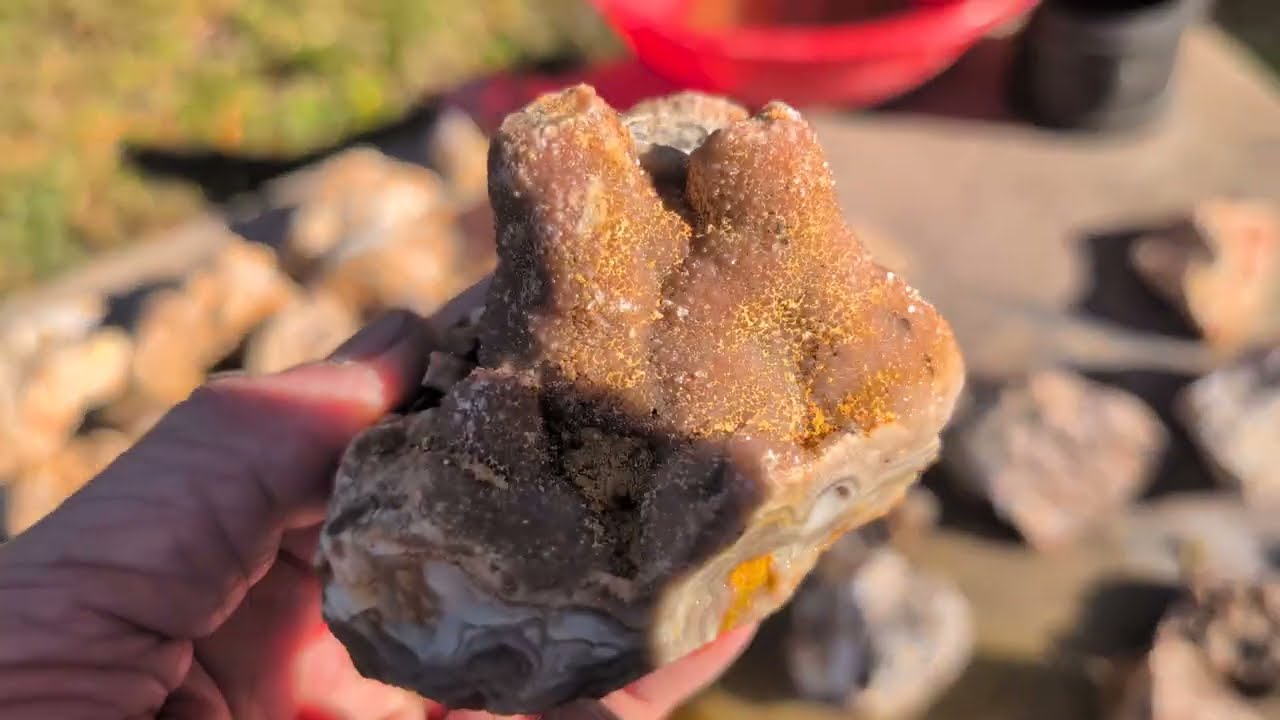 Patty Mine cleanup January 2026. Great banded chert, drusy quartz