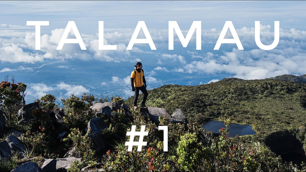 TALAMAU  #1 Tiga Hari Dua Malam Menempuh Atap Sumatera Barat | RIKAS HARSA