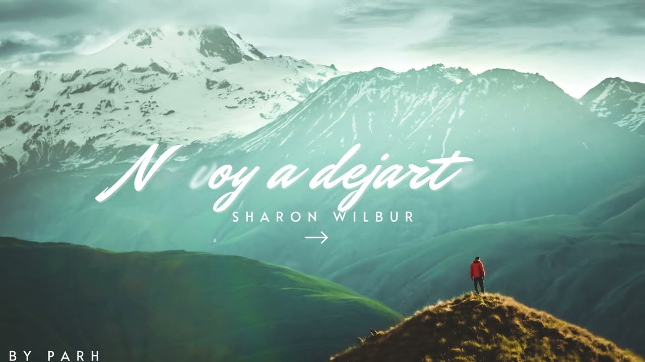 NO VOY A DEJARTE - Letra – Sharon Wilbur 2025