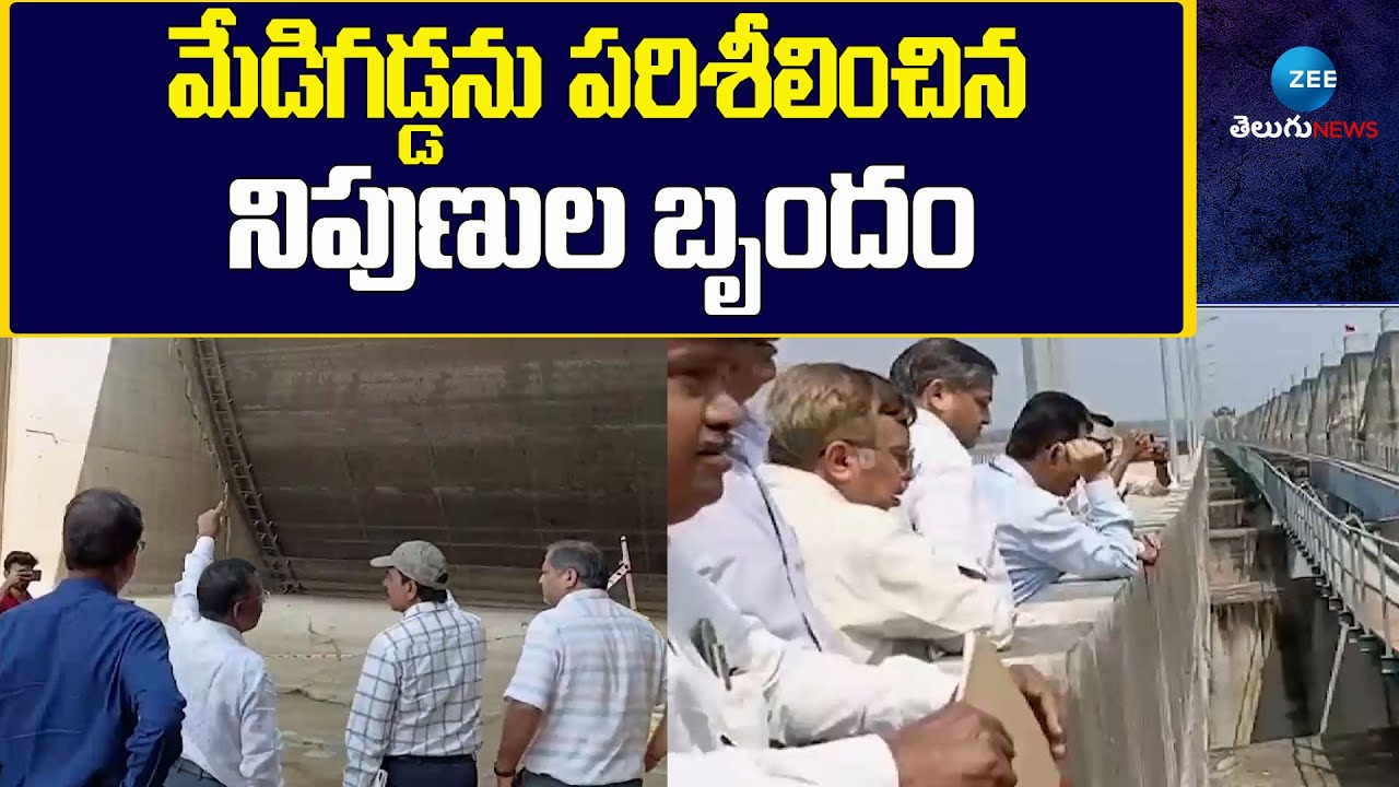 Telangana Dam Safety Officers Inspects Medigadda | మేడిగడ్డను పరిశీలించిన నిపుణుల&zwnj; బృందం | ZEE News