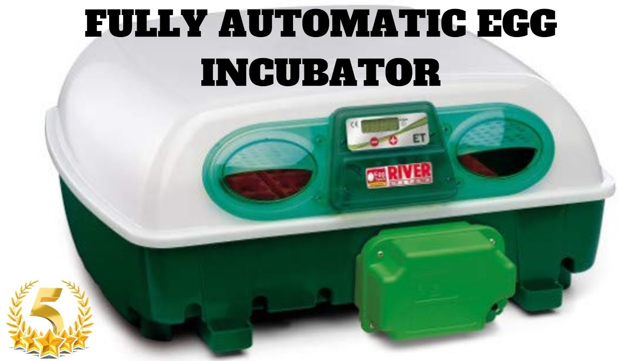 Small/Mini Size Egg Incubator fully Automatic by River Systems for Hatching Different Birds Eggs