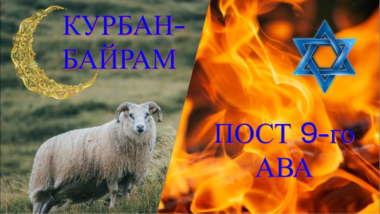 Еврейский пост, мусульманский праздник, различия и сходства традиций и многое другое.