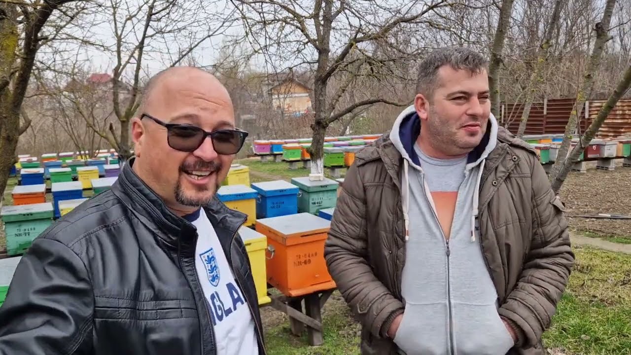 21.2023. O Carnica frumoasă la Ionuț Geantă. Interviuri apicole.