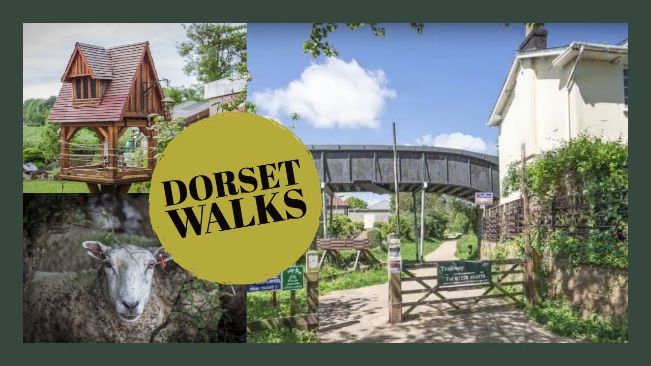 North Dorset Trailway Blandford Forum to Stourpaine UK