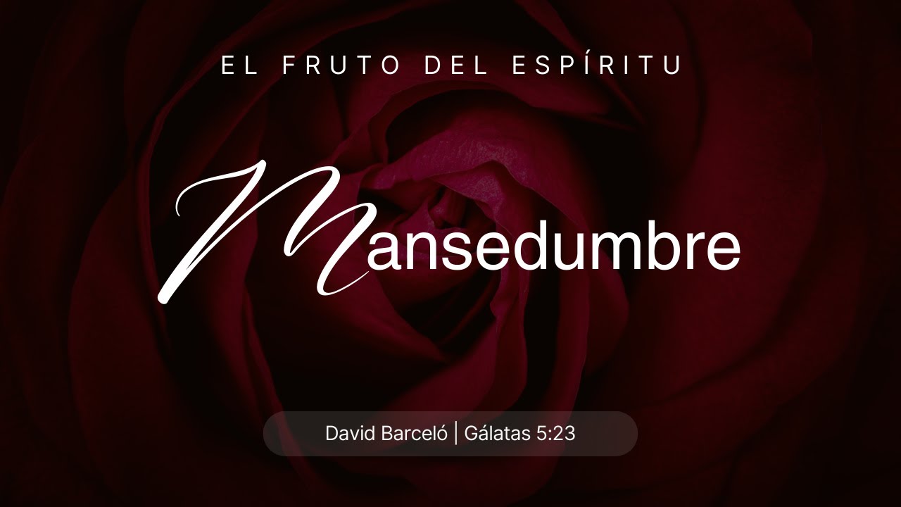 Mansedumbre | David Barceló