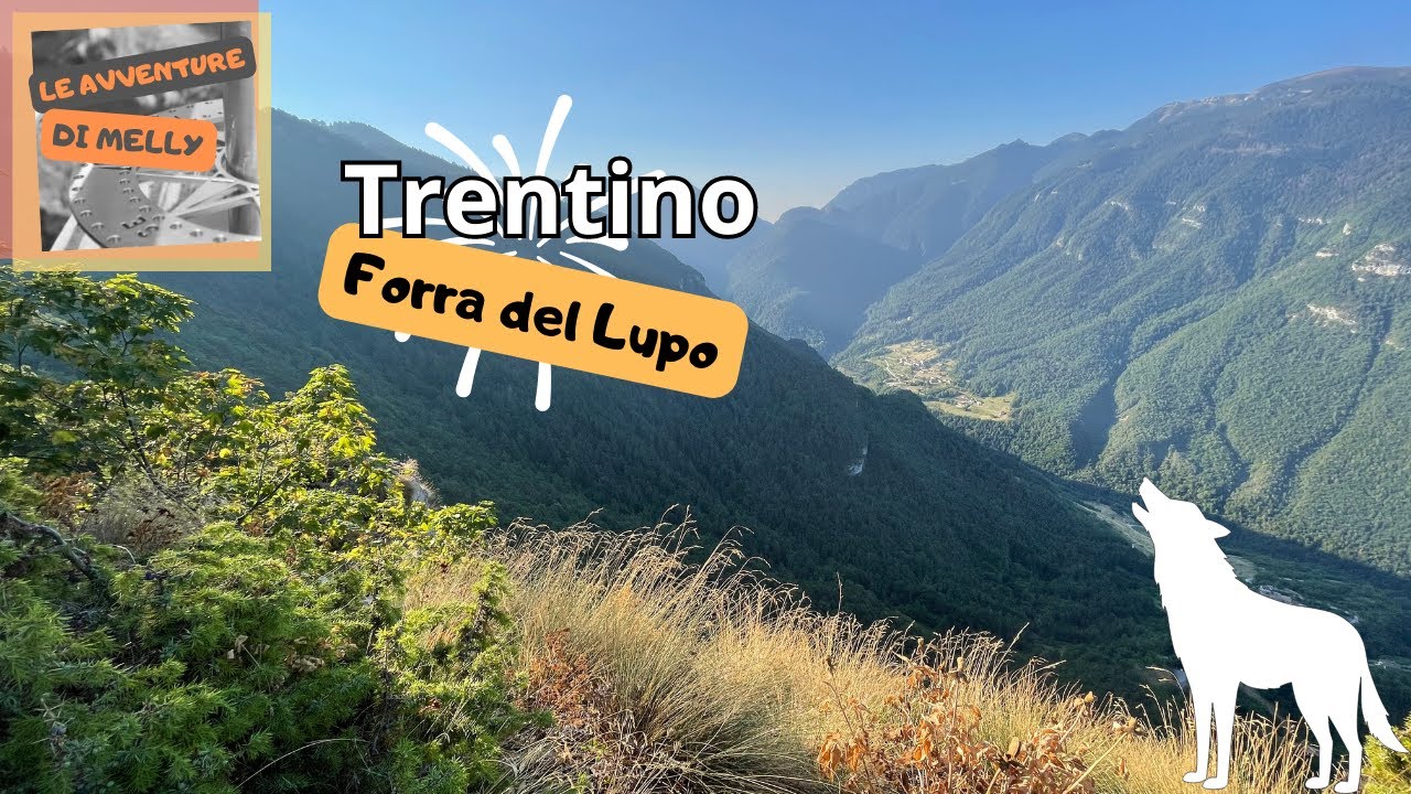 passeggiare in  Trentino tra natura e storia: ALLA FORRA DEL LUPO e Forte Dosso delle somme