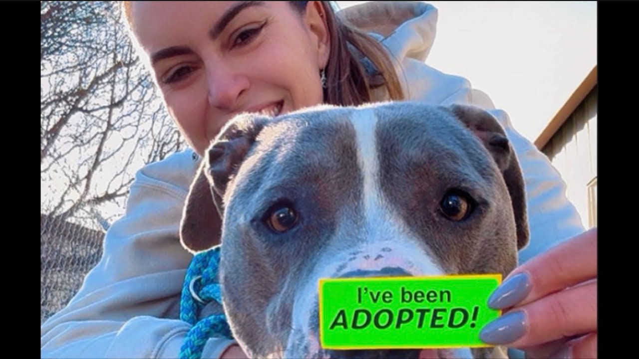 Sharing Love is live!