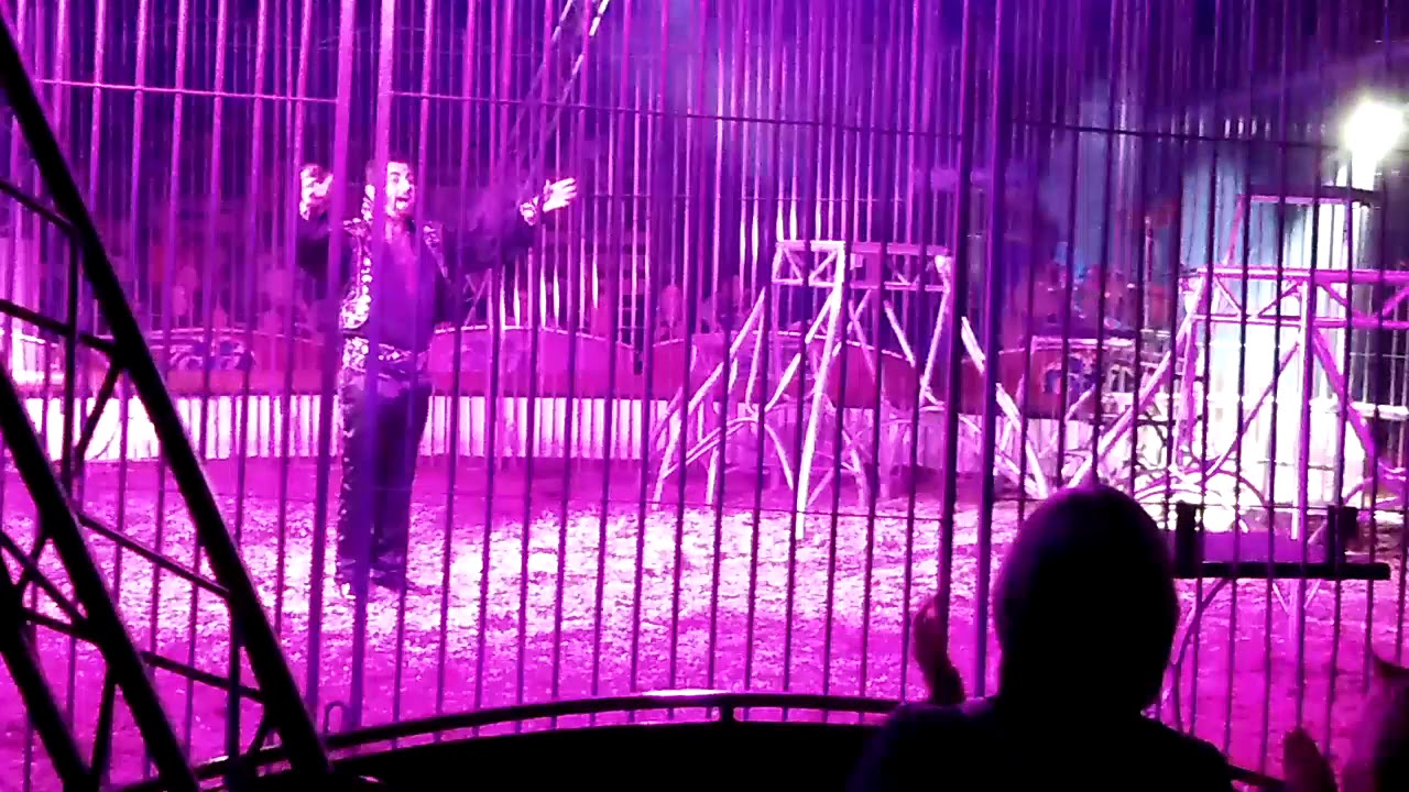 Circus in France