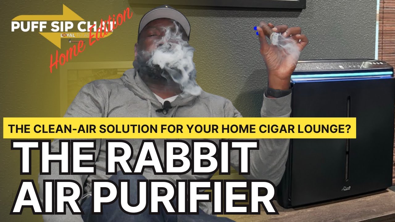 The Rabbit Air Purifier - The Perfect Clean-Air Solution for Home Cigar Lounge?