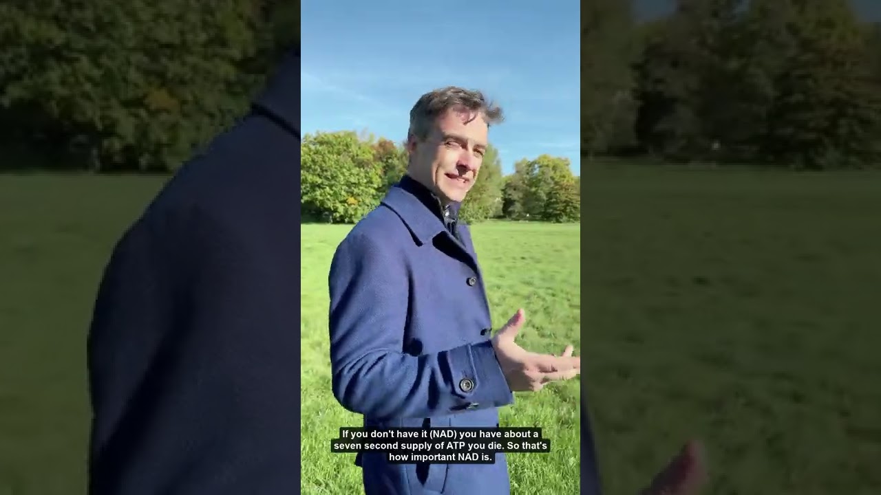 Introduction to NMN and NAD boosters