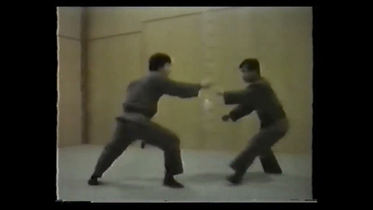 Someya sensei   Kihon Happo no kata
