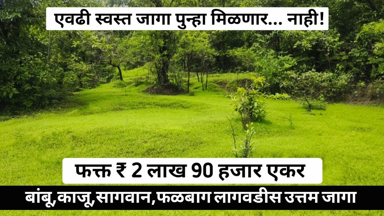  2 लाख 90 हजार रुपये एकर ! संपूर्ण मातीची जागा विकणे ! Cheap rate agricultural land for sale 