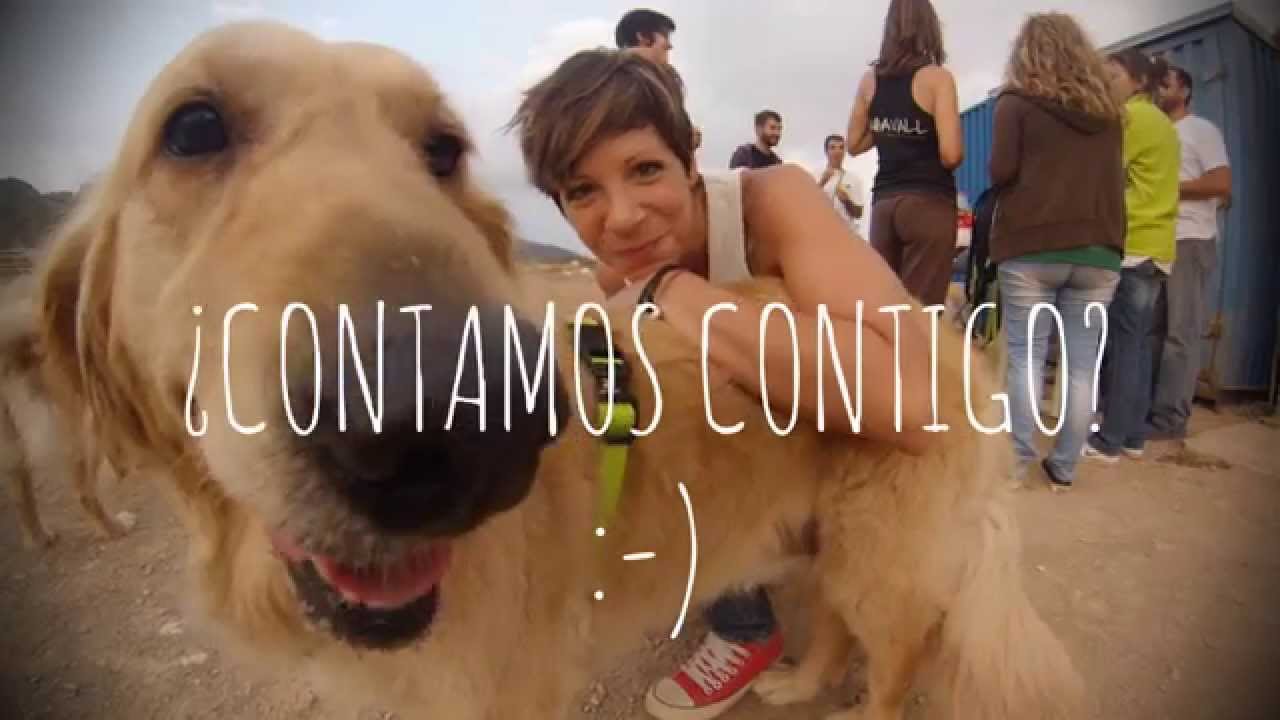 En ACAVALL, tenemos algo que contarte.