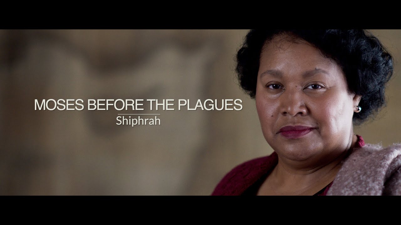 Promised Land 01 Moses Before the Plagues - Eyewitness Bible Series