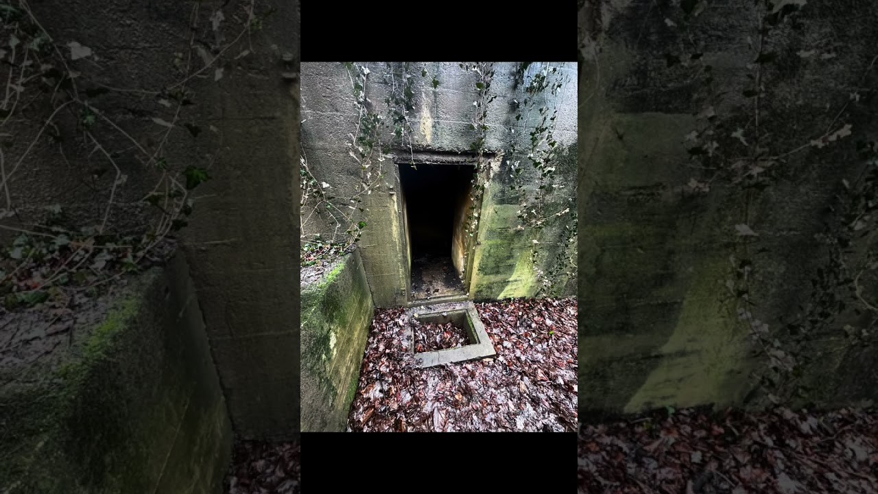 Komm mit in den Wald am  07.02.2026 