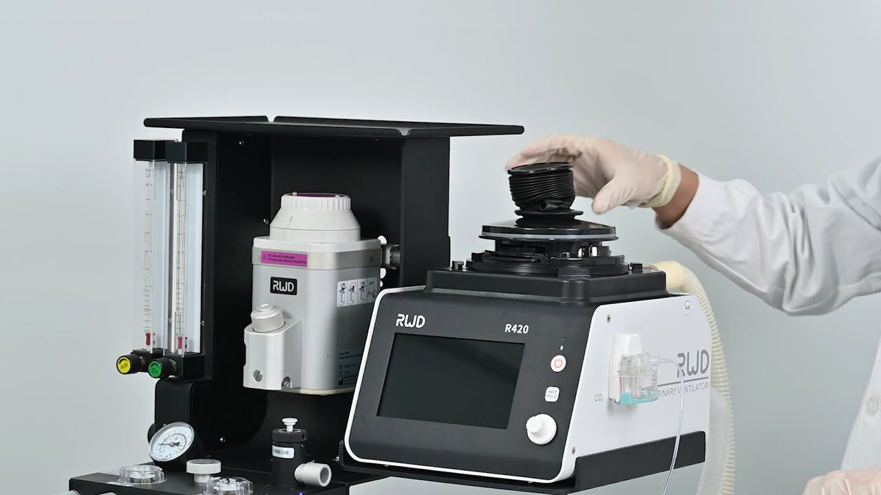 Why Vets Love the RWD R420 Electric Turbo Ventilator | RWD | Eurovets | Veterinary Medicine
